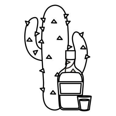 tekila şişesi ile meksika cactu bitki