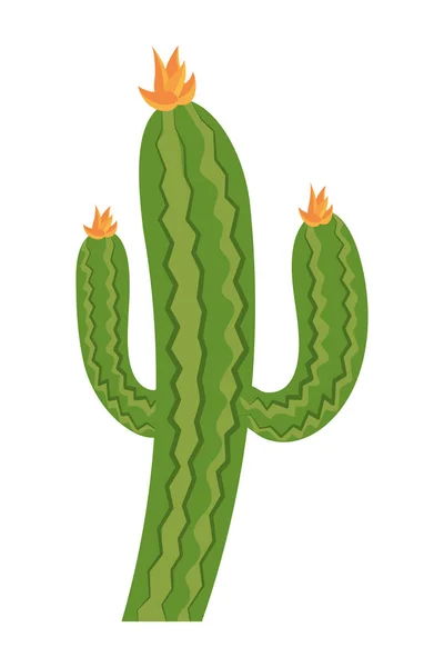 Kartun kaktus gurun - Stok Vektor