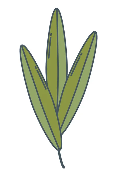 Naturen leafs tecknad — Stock vektor