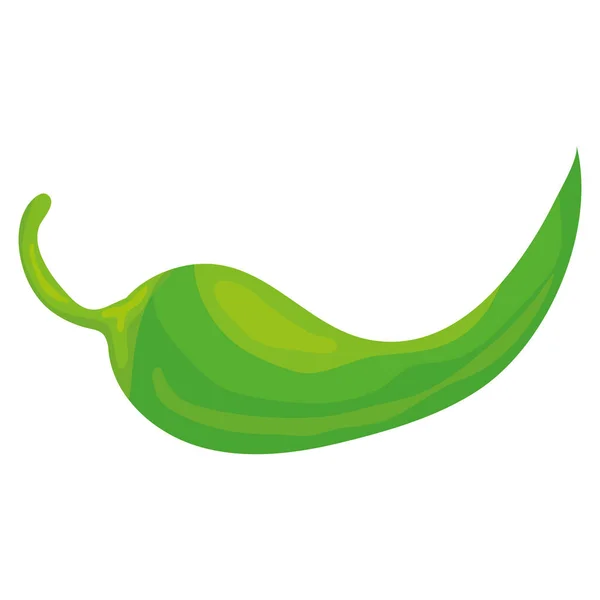 Chilischote Gemüse Symbol — Stockvektor