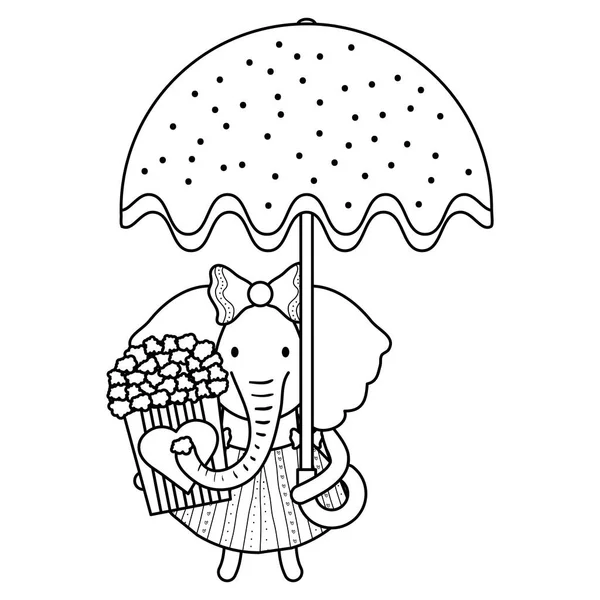 Elefante hembra lindo con paraguas y maíz pop — Vector de stock