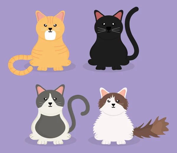 Mascotes de gatos pequenos bonitos — Vetor de Stock