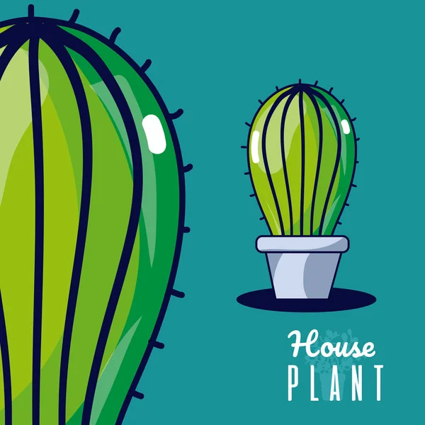 Cactus casa planta —  Vetores de Stock