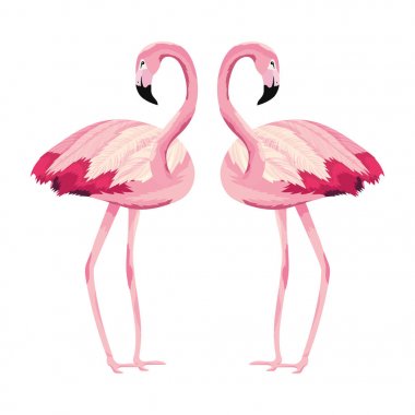 tropikal flamingolar çizgi film