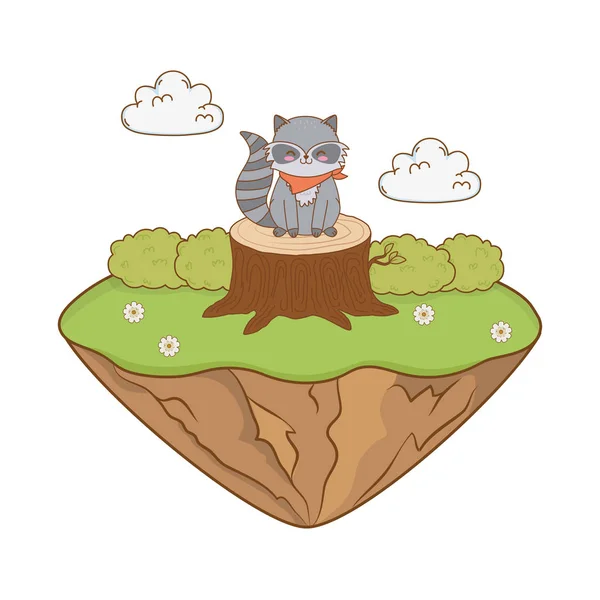 Lindo mapache en el campo carácter del bosque — Vector de stock