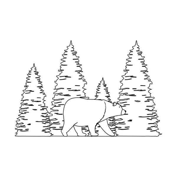 Kiefern Bäume Wald Szene mit Bär Grizzly — Stockvektor