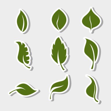 organik gıda için yeşil farklı yaprakları ayarlamak