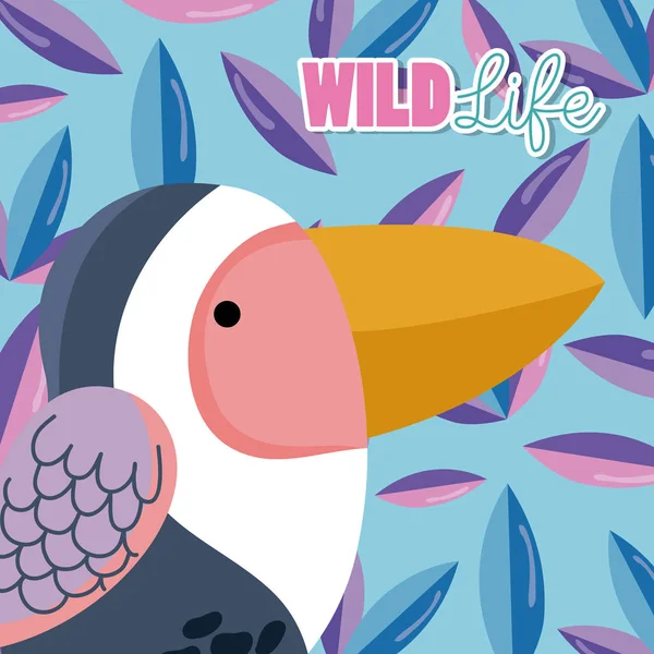 Kuş yaban hayatı hayvan çizgi film — Stok Vektör