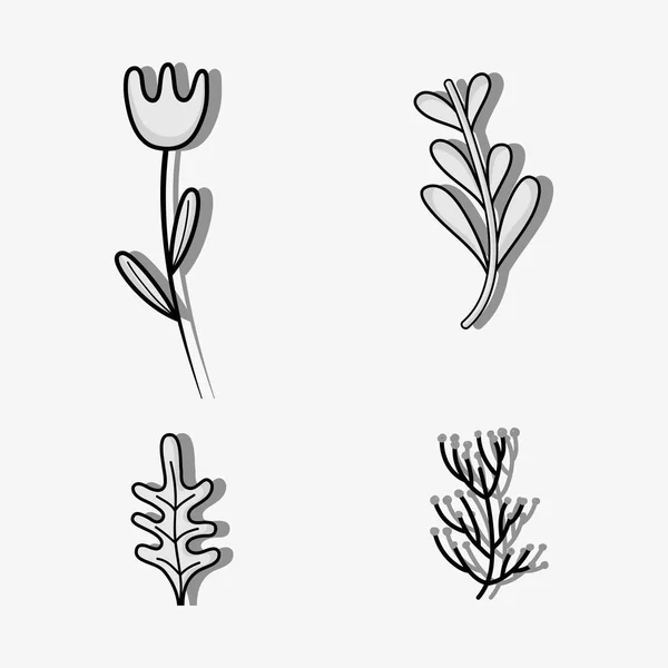 Set plantes ructiques feuilles et fleurs naturelles — Image vectorielle