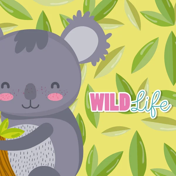 Koala yaban hayatı hayvan çizgi film — Stok Vektör