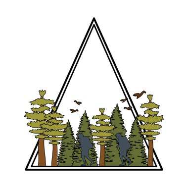 çam ağaçları orman sahne