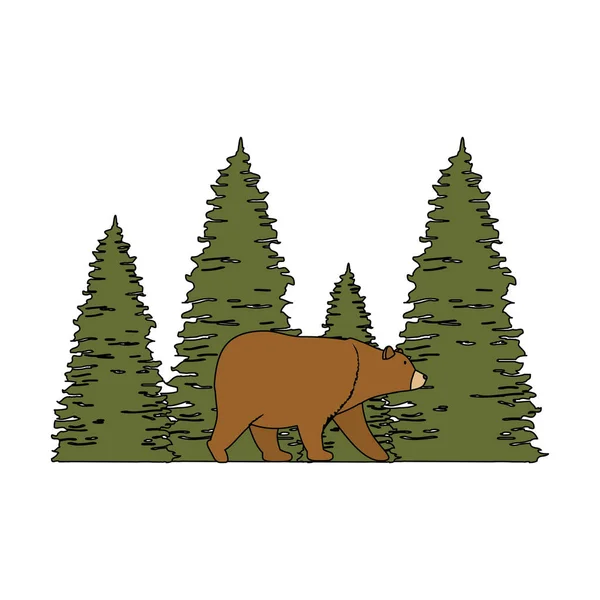 Сосны лесная сцена с медведем гризли — стоковый вектор