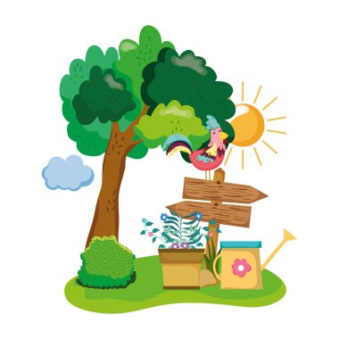 bahçede horoz ve houseplant ile ahşap ok