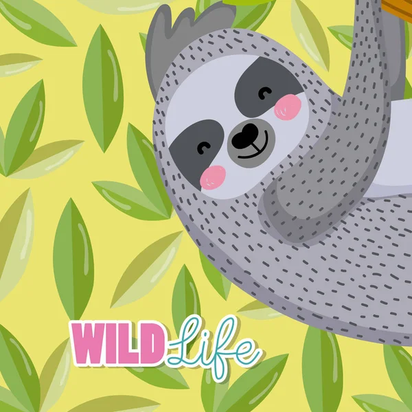Tembel hayvan yaban hayatı hayvan çizgi film — Stok Vektör