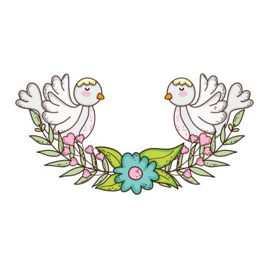 taç ile sevimli güvercin kuş dini