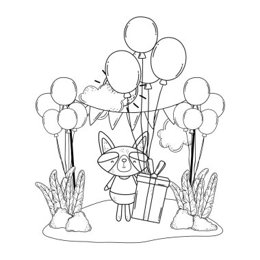 Kampta balonlar ve hediyeler ile rakun