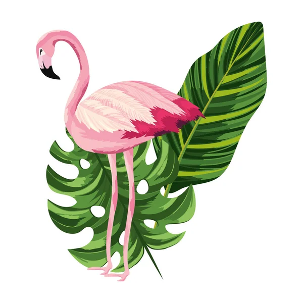 Tropikal flamingo karikatür — Stok Vektör