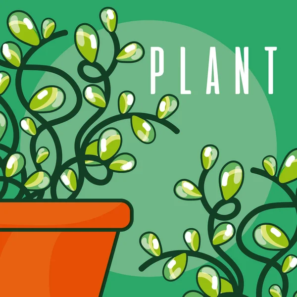 Plantes en pots — Image vectorielle