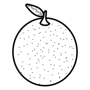 taze portakal narenciye