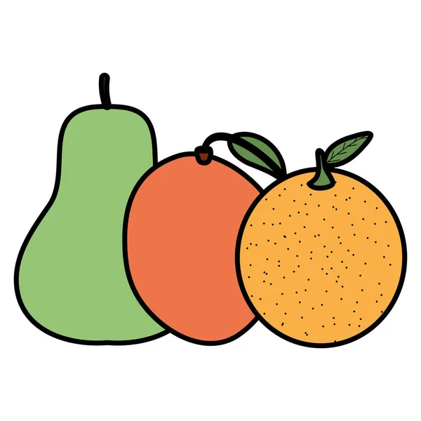 Frische Orangen-Zitrusfrüchte und Birnen mit Mango — Stockvektor
