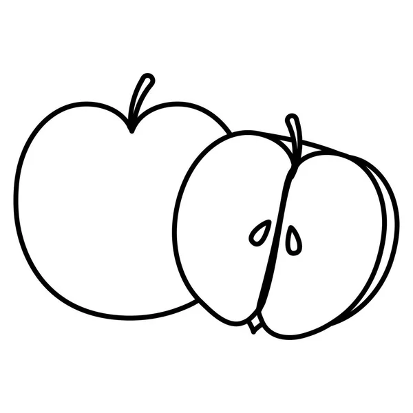 Čerstvé jablkový plod poloviční — Stockový vektor