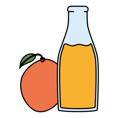 botttle taze mango suyu meyve