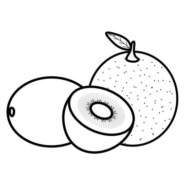 portakal meyve ile taze kivi