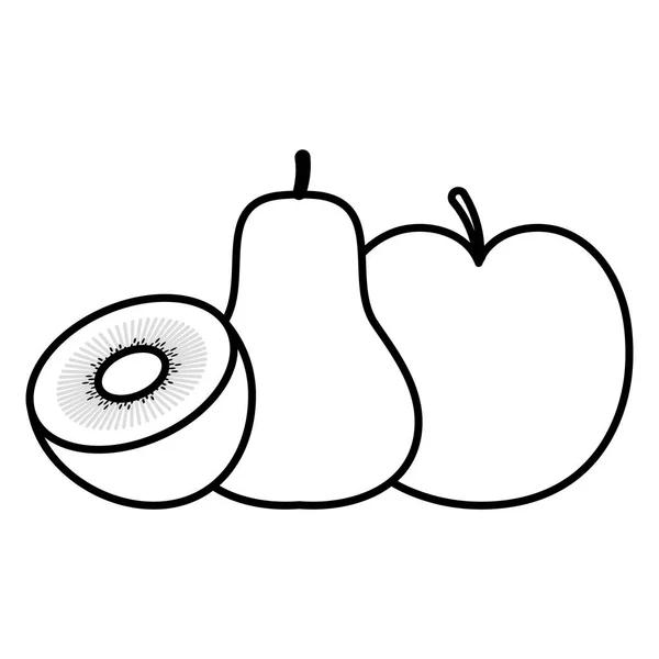 Φρέσκο ακτινίδιο με αχλάδι και μήλο — Διανυσματικό Αρχείο