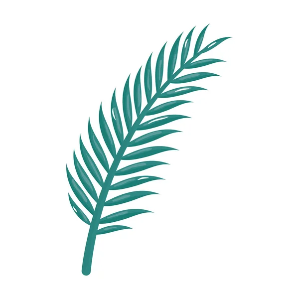 Folha de palma ícone tropical —  Vetores de Stock