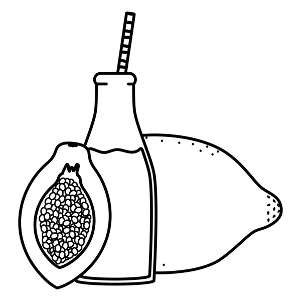빨대와 보틀에 신선한 파파야 주스 과일 — 스톡 벡터