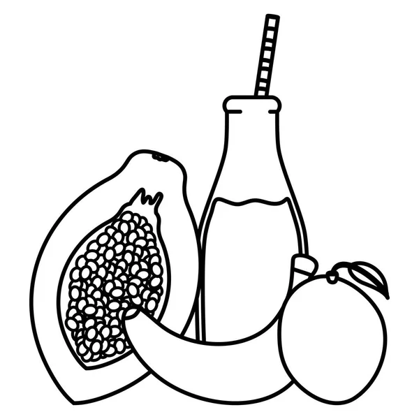 Papaya fresca y zumo de mango en botella con paja — Archivo Imágenes Vectoriales