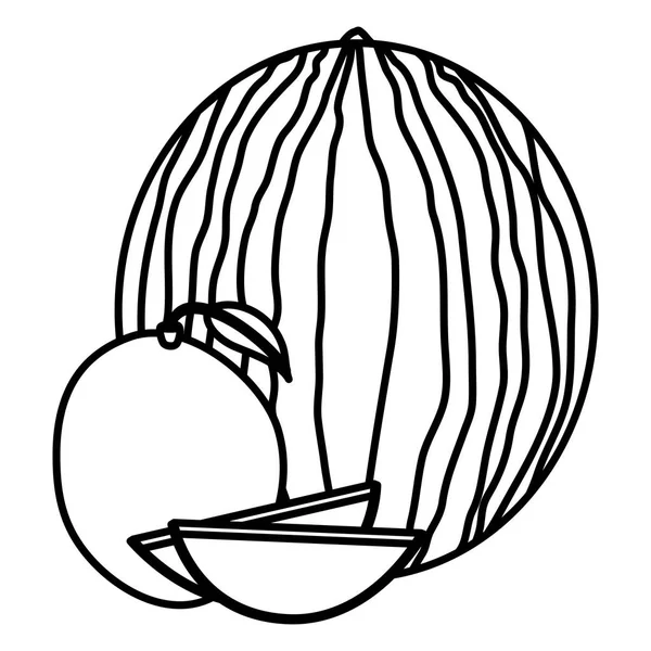 Pastèque fraîche à la mangue — Image vectorielle