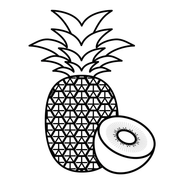 Frische Kiwi und Ananas — Stockvektor