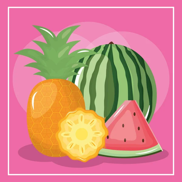Melon d'eau frais et ananas — Image vectorielle