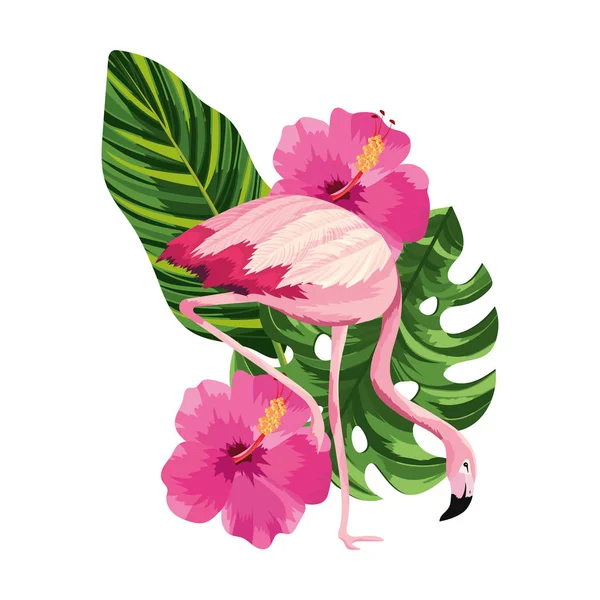 Tropikal flamingo karikatür — Stok Vektör