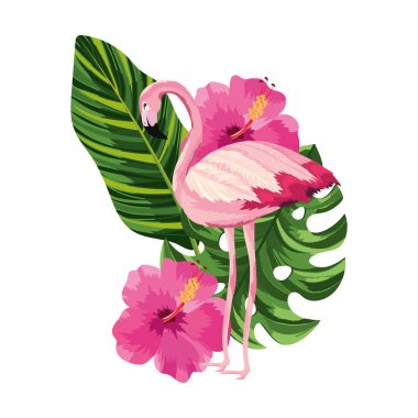 tropikal flamingo karikatür