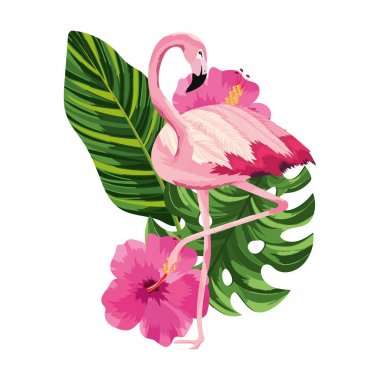 tropikal flamingo karikatür