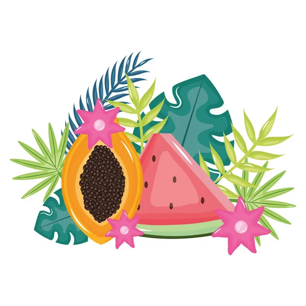 Świeże papaja i arbuz z dekoracją kwiatowa — Wektor stockowy