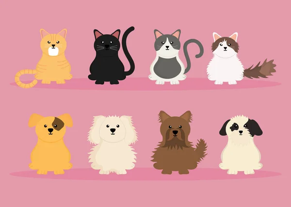 Groep schattige huisdieren karakters — Stockvector