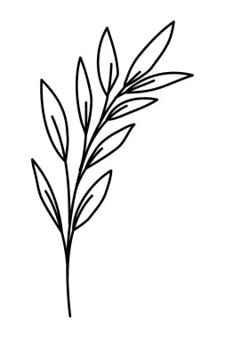 çizgi film doğa yapraklar