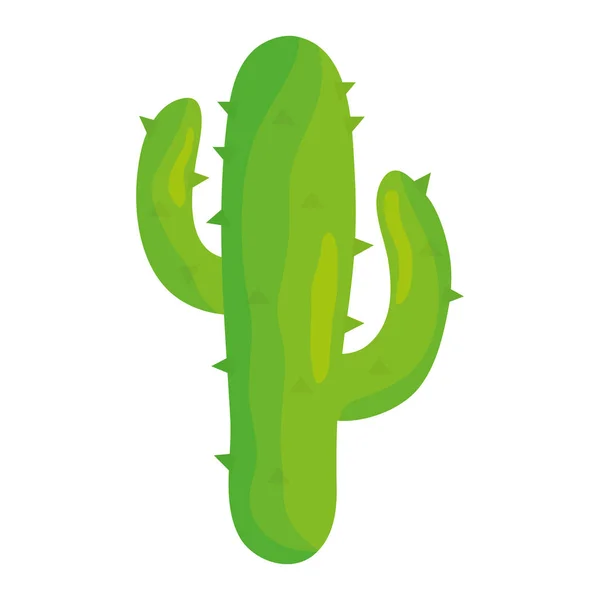 Mexikanische Kaktuspflanze — Stockvektor