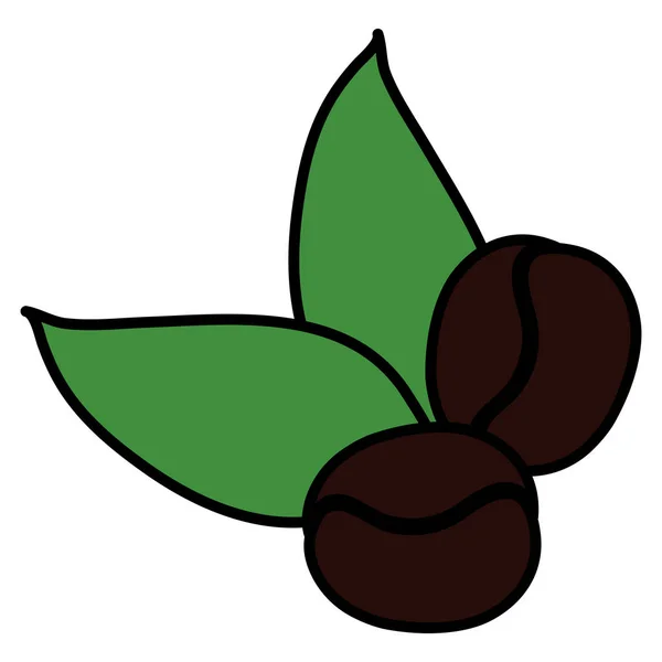 Kávésszemek és-levelű növények — Stock Vector