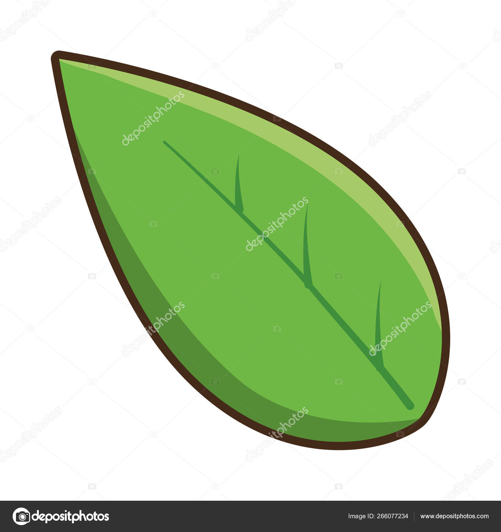 Desenho Animado Folhas Folhagem Vegetação Plantas Natureza Ilustração  Vetorial Royalty Free SVG, Cliparts, Vetores, e Ilustrações Stock. Image  162035635