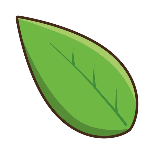 Nature leaf cartoon — Stock Vector