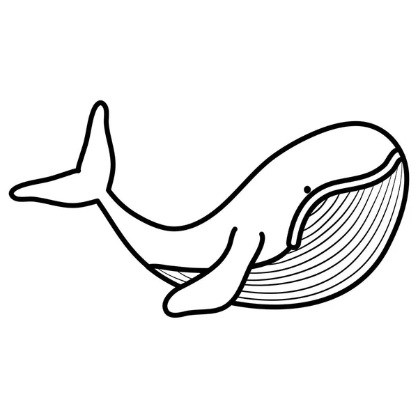 Cute whale childish character — Stock Vector