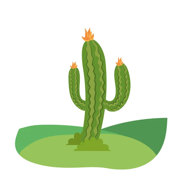 Cactus dibujos animados al aire libre — Vector de stock