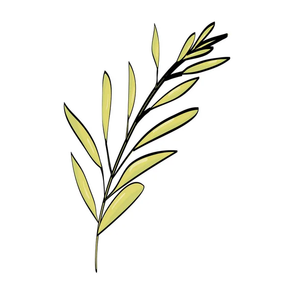 Ветвь с листовым заводом — стоковый вектор