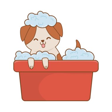 sevimli komik Pet karikatür