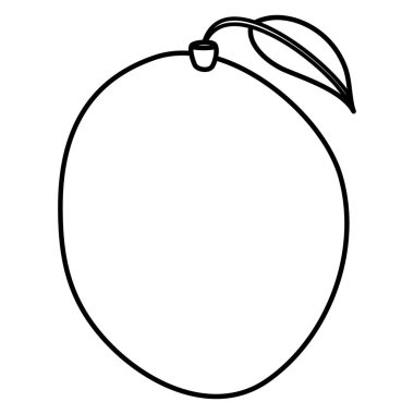 taze tropikal mango meyve