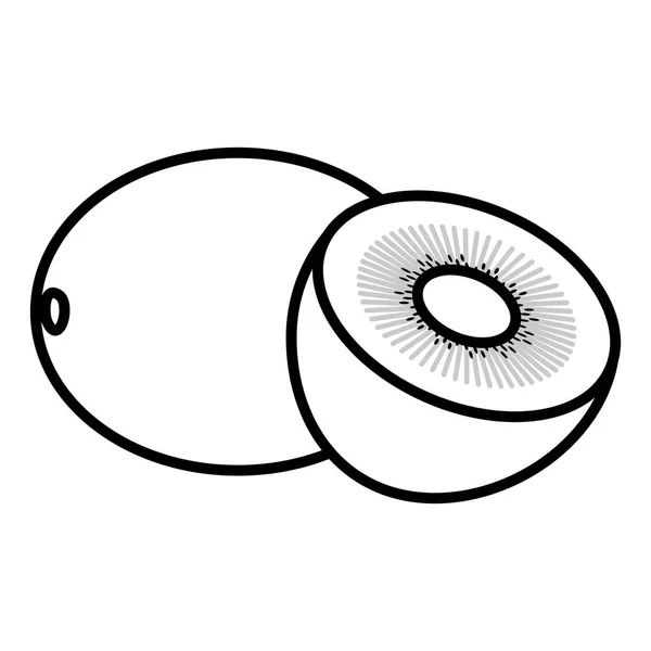 Čerstvý Kiwi Exotické Ovoce Vektor Ilustrace Design — Stockový vektor